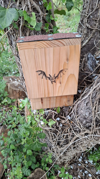 nichoir pour chauve souris