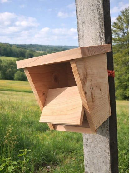 Nichoir pour rouges-gorges